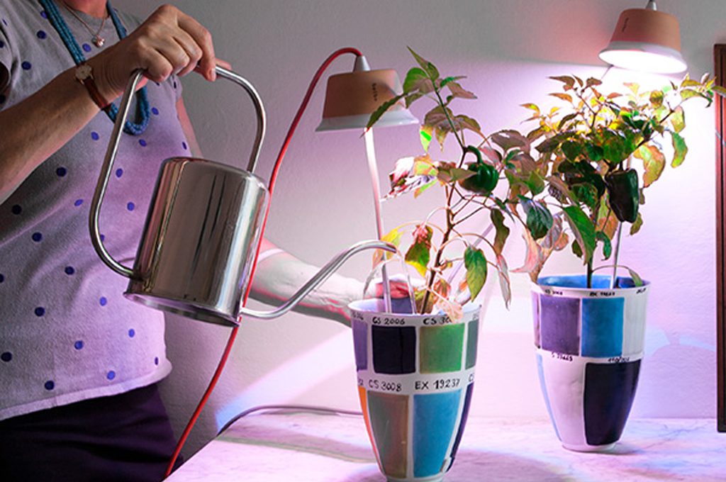 Guida FACILE alla scelta delle luci artificiali per piante - I