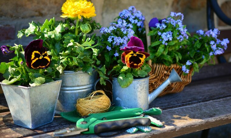 Marzo: i lavori di giardinaggio da fare questo mese