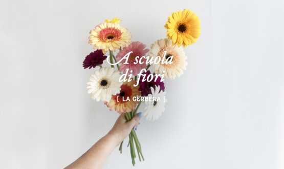 A scuola di fiori con La Fiorellaia: il gerbera