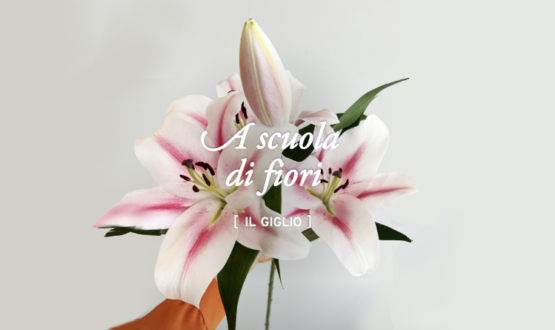 A scuola di fiori con La Fiorellaia: il giglio