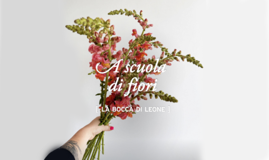 A scuola di fiori con La Fiorellaia: la bocca di leone