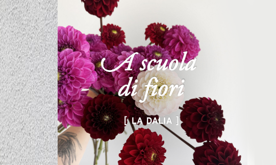 A scuola di fiori con La Fiorellaia: la dalia