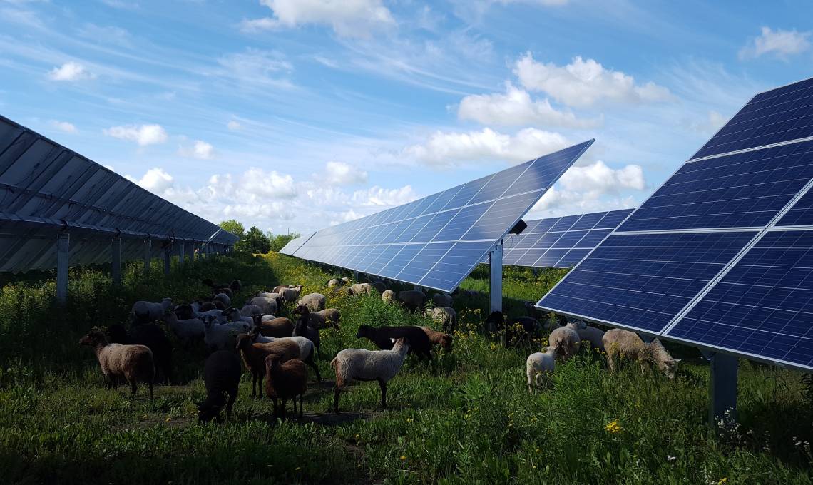 Cose Che Non Sapevi Sui Pannelli Fotovoltaici Casafacile